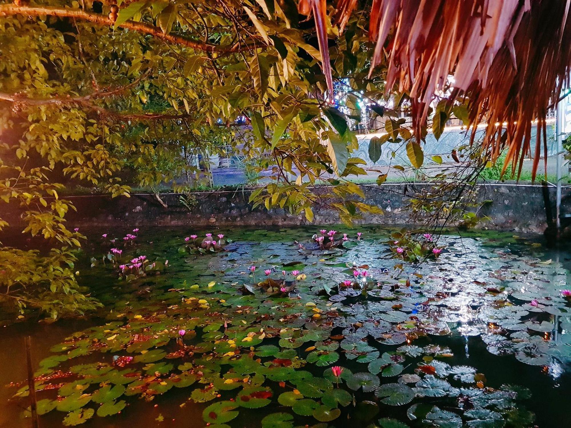 Quoc Khanh Bamboo Homestay นิญบิ่ญ ภายนอก รูปภาพ
